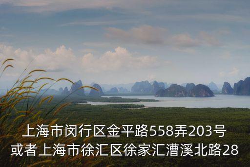 上海市康貿達有限公司地址，上海市閔行區羅錦路845號是公司地址嗎