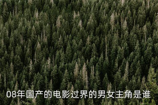過界男女，電影過界男女陳坤和劉嘉玲主演的女主角安娜的老公到底去哪了