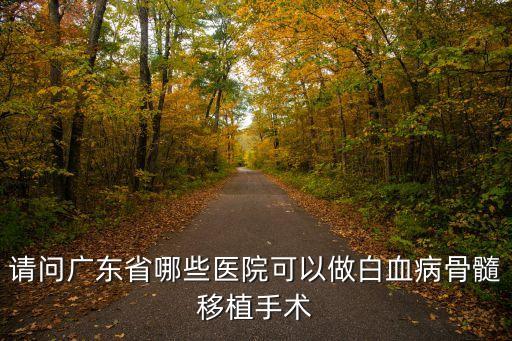 請問廣東省哪些醫(yī)院可以做白血病骨髓移植手術(shù)