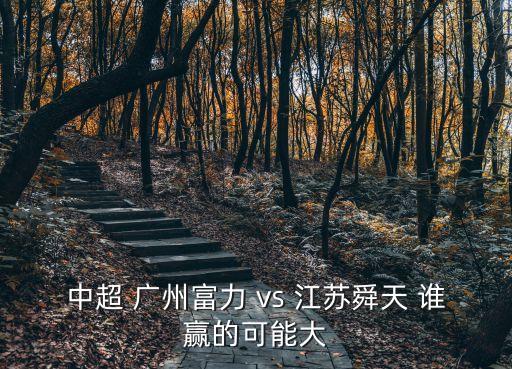 廣州富力vs江蘇蘇寧球員打分，中超 廣州富力 vs 江蘇舜天 誰贏的可能大
