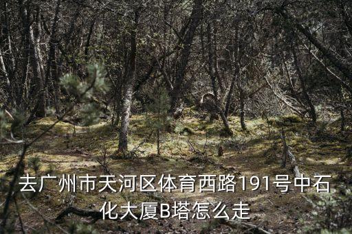 去廣州市天河區(qū)體育西路191號(hào)中石化大廈B塔怎么走