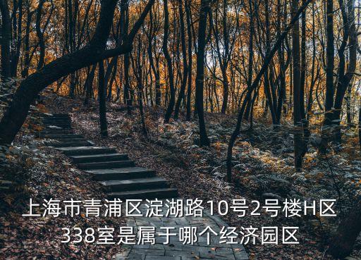 上海市青浦區(qū)淀湖路10號2號樓H區(qū)338室是屬于哪個(gè)經(jīng)濟(jì)園區(qū)