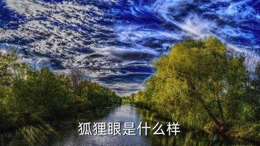 狐貍眼的女人，狐貍眼是什么樣