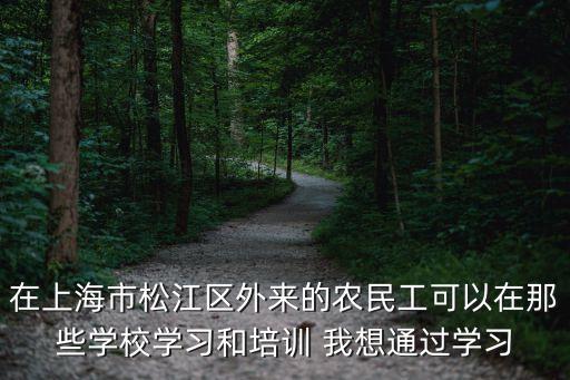 在上海市松江區外來的農民工可以在那些學校學習和培訓 我想通過學習
