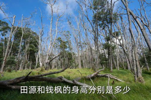 錢(qián)楓身高，田源和錢(qián)楓的身高分別是多少