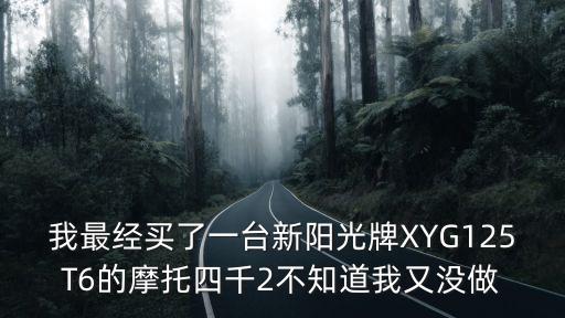 我最經買了一臺新陽光牌XYG125T6的摩托四千2不知道我又沒做