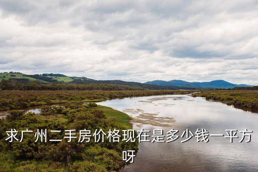 求廣州二手房價格現在是多少錢一平方呀
