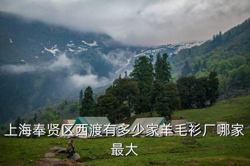 上海市有多少個(gè)針織毛衣廠，上海奉賢區(qū)西渡有多少家羊毛衫廠哪家最大