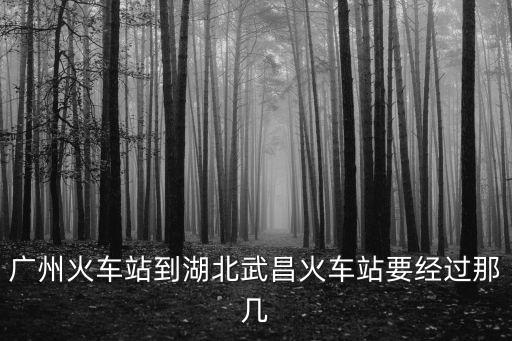 廣州火車站到湖北武昌火車站要經過那幾