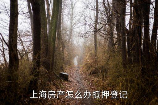 上海市抵押登記辦法，上海房產怎么辦抵押登記