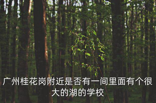 廣州萬科o境學校，廣州番禺區南村鎮劍橋郡里面的那所學校怎么樣