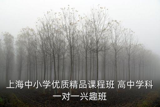 上海中小學優質精品課程班 高中學科一對一興趣班