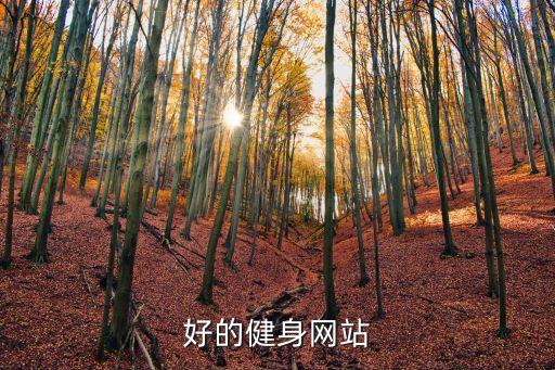 好的健身網站