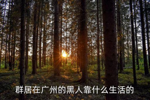 在廣州定居的非洲人，群居在廣州的黑人靠什么生活的