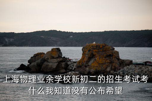 上海物理業(yè)余學校新初二的招生考試考什么我知道沒有公布希望
