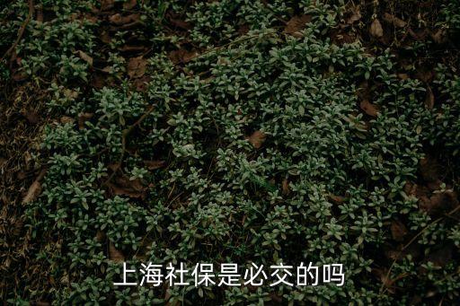 上海社保是必交的嗎