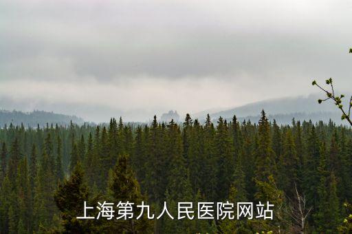 上海第九人民醫院網站