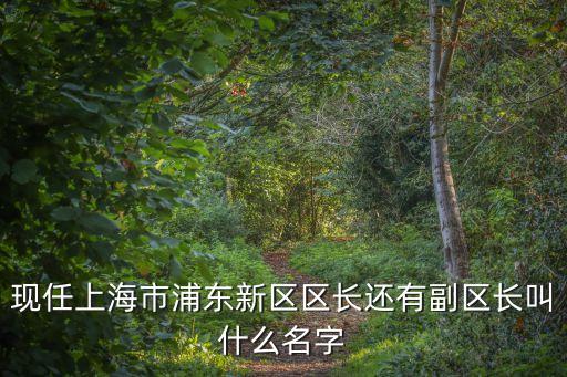 上海市副區長人選，現任上海市浦東新區區長還有副區長叫什么名字
