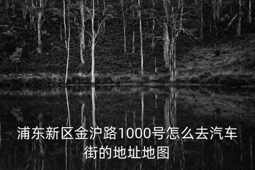 浦東新區金滬路1000號怎么去汽車街的地址地圖