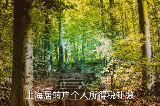 上海市居轉戶存在納稅0申報的月份，求教近期4個月0稅還能不能申請居轉戶
