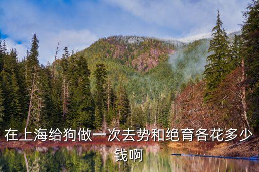 上海市閔行區(qū)狗絕育多少錢(qián)，在上海給狗做一次去勢(shì)和絕育各花多少錢(qián)啊