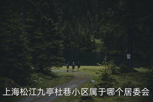 上海市松江區亭中居委會，上海市松江區賽杰苑是哪個居委會的