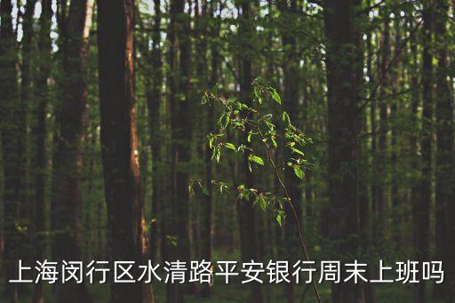 上海市平安銀行閔行支行，平安銀行在閔行區地址