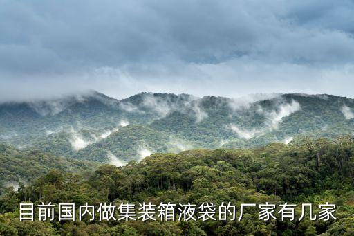 目前國內做集裝箱液袋的廠家有幾家