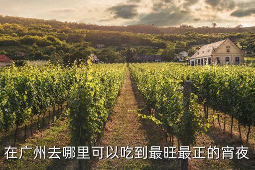 在廣州去哪里可以吃到最旺最正的宵夜