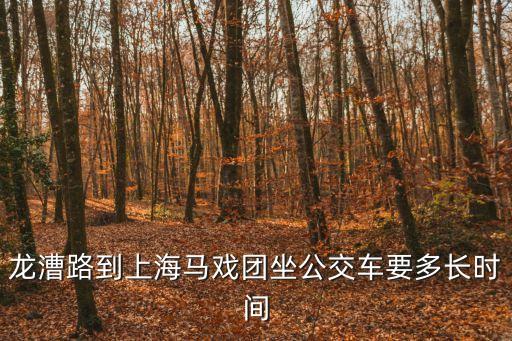 上海市交通委軌道處處長，上海軌道處長大還是交通局長大