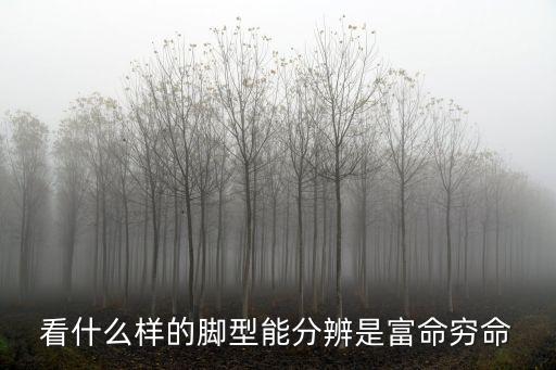 看什么樣的腳型能分辨是富命窮命
