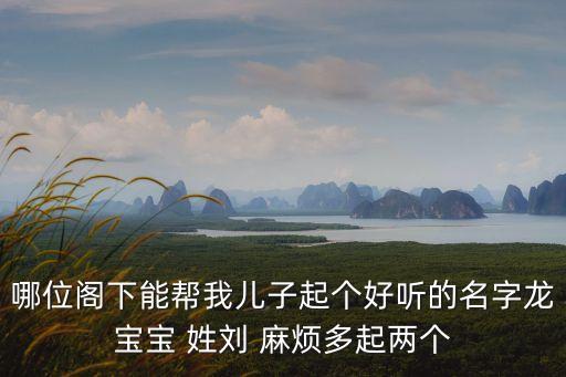 哪位閣下能幫我兒子起個好聽的名字龍寶寶 姓劉 麻煩多起兩個