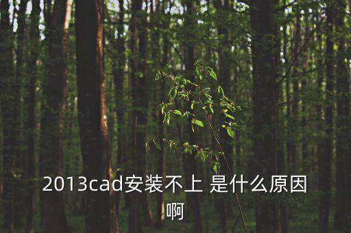 2013cad安裝不上 是什么原因啊