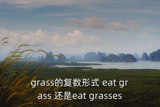 grass的復數形式 eat grass 還是eat grasses