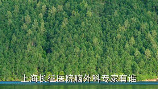 上海長征醫院腦外科專家有誰