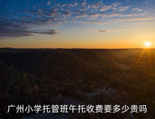 廣州小學(xué)托管班午托收費要多少貴嗎