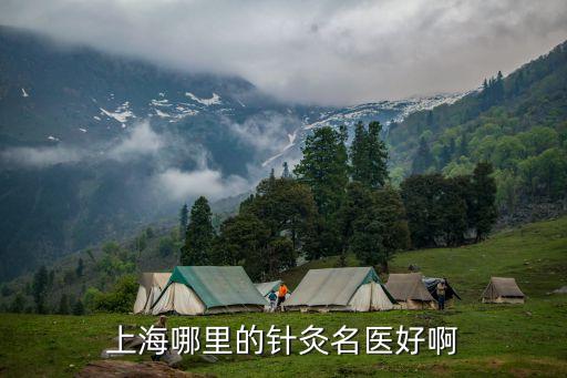 上海市針灸專家嚴，上海哪里的針灸名醫好啊