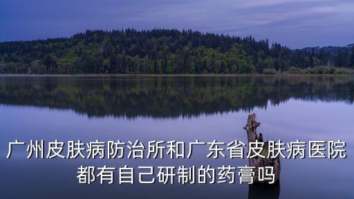 廣州皮膚病防治所和廣東省皮膚病醫院都有自己研制的藥膏嗎