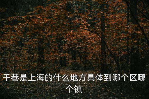 干巷是上海的什么地方具體到哪個區哪個鎮