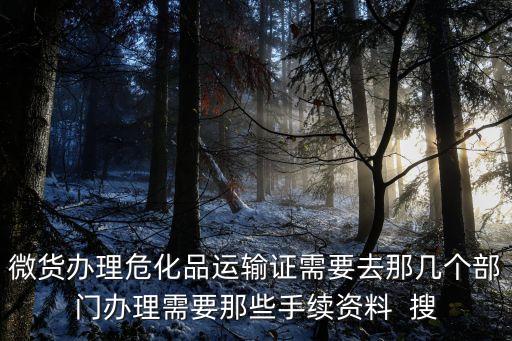 微貨辦理危化品運輸證需要去那幾個部門辦理需要那些手續資料  搜