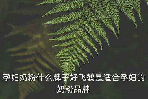 孕婦奶粉，哪種孕婦奶粉比較好