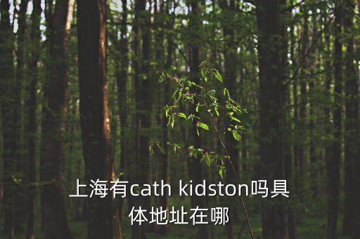 上海市辛莊堅果英語地址，toastmaster 上海所有地址