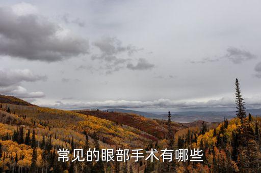 常見的眼部手術有哪些