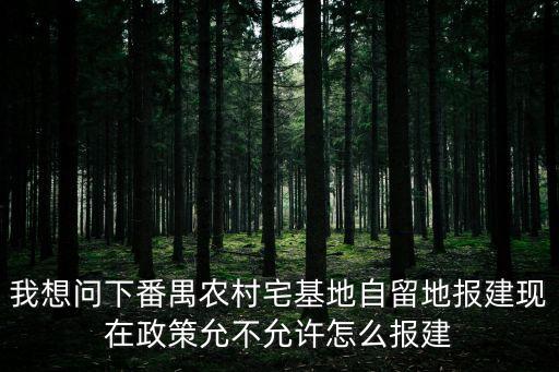 我想問下番禺農(nóng)村宅基地自留地報(bào)建現(xiàn)在政策允不允許怎么報(bào)建