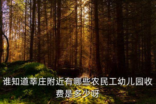 上海市民工幼兒園，誰知道莘莊附近有哪些農民工幼兒園收費是多少呀