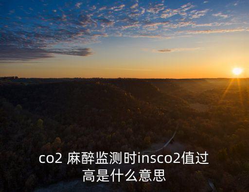 co2 麻醉監測時insco2值過高是什么意思