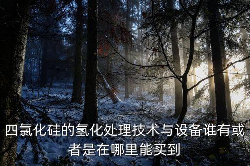 四氯化硅的氫化處理技術與設備誰有或者是在哪里能買到