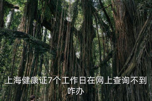 上海市楊浦區健康證查詢，上海市健康證查詢