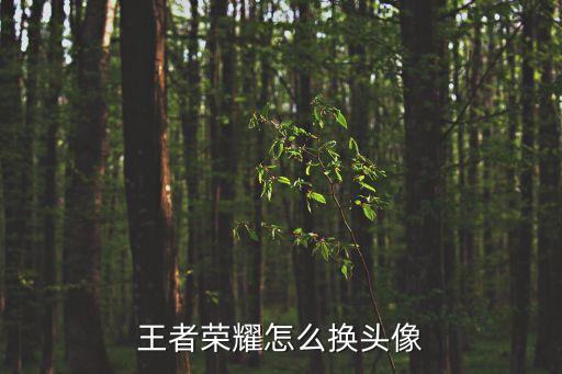 王者榮耀怎么換頭像