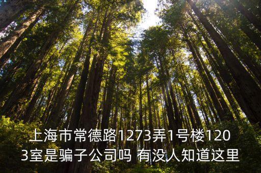 上海市羅亞爾，上海市常德路1273弄1號樓1203室是騙子公司嗎 有沒人知道這里